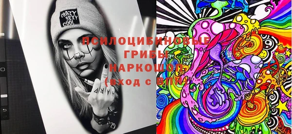 бутират Баксан