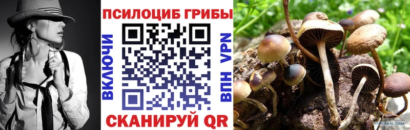Галлюциногенные грибы Magic Shrooms  хочу   Купино 